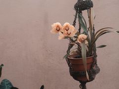 -维乐口腔医院(星海湾分院)