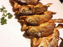 -甄御•海鲜新青岛菜(麦岛店)