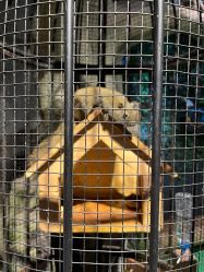 -酷嗒动物文化乐园(cutezoo西溪乐天城店)