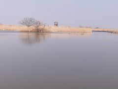 -盐城丹顶鹤湿地生态旅游区