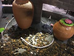 -龙门烤鱼(东方宝泰店)