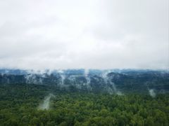 -汤旺河林海奇石景区