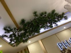 -芳朵美容养生SPA