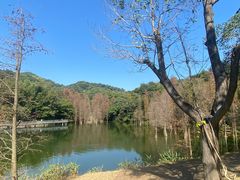 -广州市白云山风景名胜区