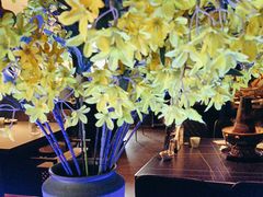 -额尔敦传统涮(公园西路店)