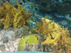 -上海海洋水族馆