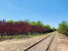 -永定河休闲森林公园