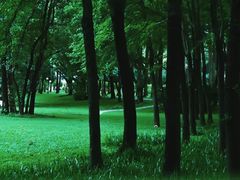 -荔香公园