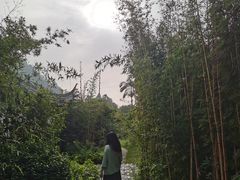 -南沙蒲洲花园