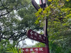 -岳麓山风景名胜区