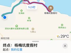 -杨梅坑
