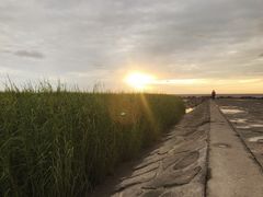 -南汇嘴观海公园