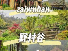 -黄陂区野村谷景区