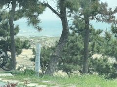 -日照海滨国家森林公园