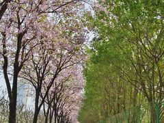 -南丰汇(新港东路店)