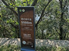 -惠山国家森林公园