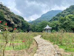 -广州市石门国家森林公园