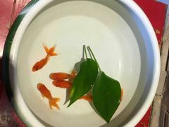 -小龙坎火锅(双林店)