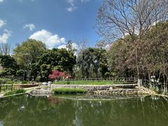 -成都市活水公园