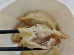 锅贴-洋洋锅贴