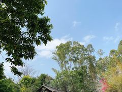 -深圳国际园林花卉博览园