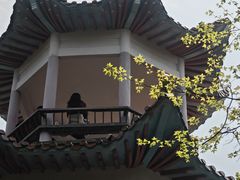 -天鹿湖森林公园