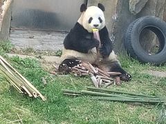 -大连森林动物园