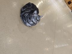 -藏猫猫咖啡主题馆(中央大道店)