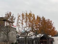 -枫桥景区