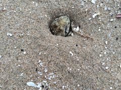 -嵊泗基湖沙滩