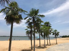 -瑶湖郊野森林公园
