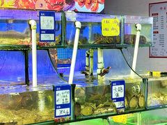 -友强·23年特色海鲜大排档(厦门店)