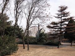-北京世界公园