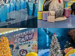 -海合安天津极地海洋公园