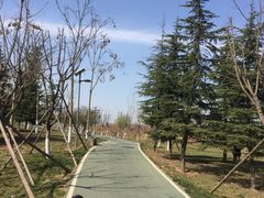 -洨河生态公园