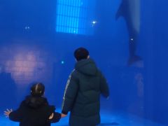 -华夏文旅海洋公园