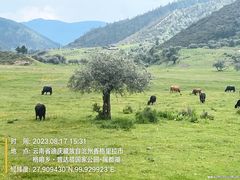 -普达措国家公园
