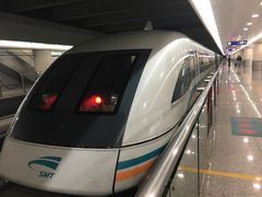 -龙阳路磁悬浮列车总站-停车场