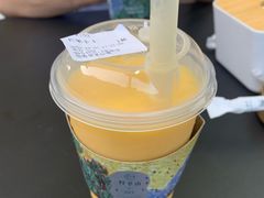 -野萃山·潮汕厚果汁(十亩地店)