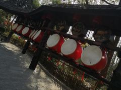 -合肥滨湖国家森林公园