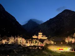 -禅宗少林·音乐大典