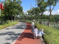 -上海长兴岛郊野公园