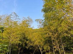 -福道