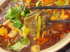 -伊兰麒兰馨园·川菜·清真馆(339电视塔店)
