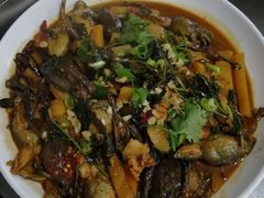 -庆岭迎宾园正宗活鱼馆