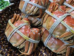 蚌肉金花菜-诗王蟹业(渔家灯火店)