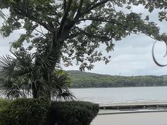 -水上明月·湖景餐厅