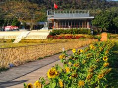 -风云岭森林公园