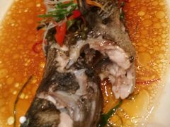 -环球港凯悦 · 享悦中餐厅