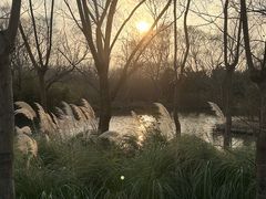 -溱湖国家湿地公园